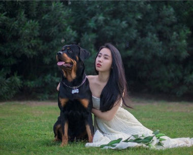 属兔人永远最旺的颜色