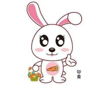 生肖兔的年龄
