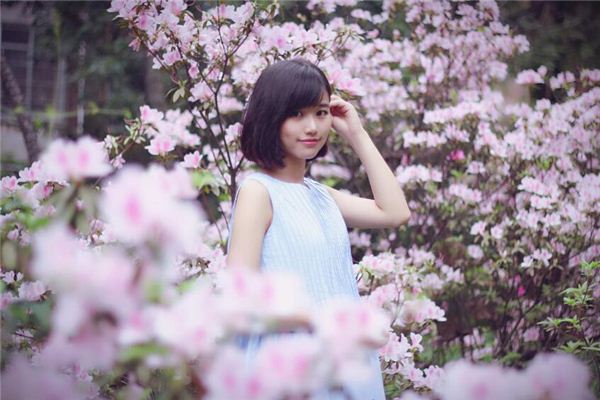 属牛人今年运势