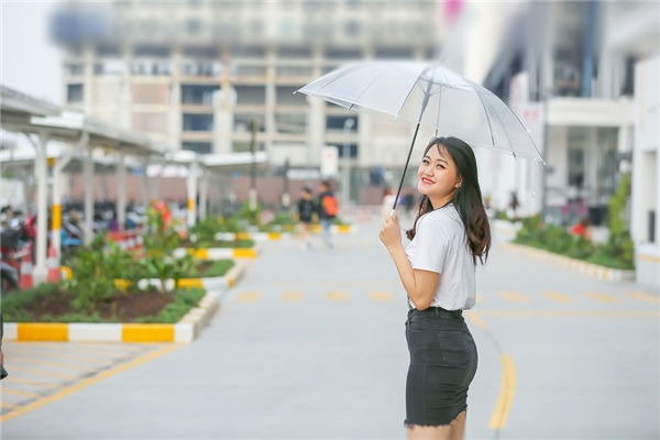生肖属狗的人运势如何