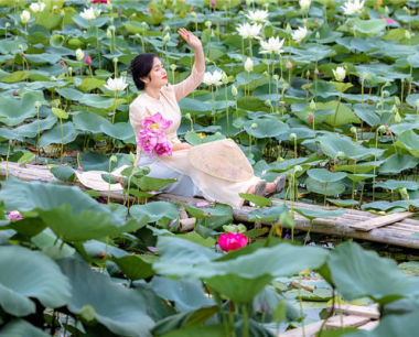 狗2023年婚姻有变动吗