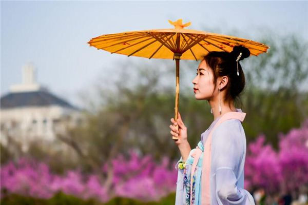 2024年龙年是寡妇年吗