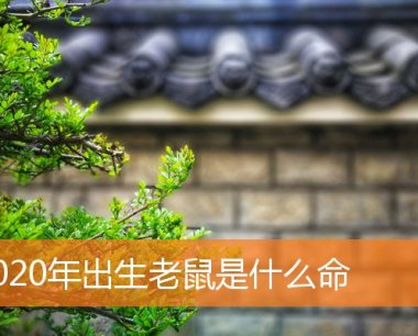2020年出生老鼠是什么命