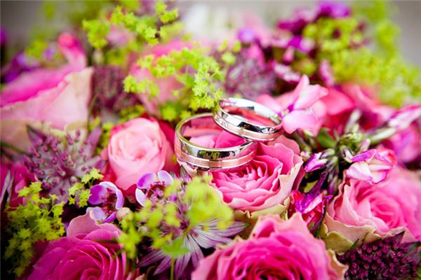 属鸡今年婚姻运势如何