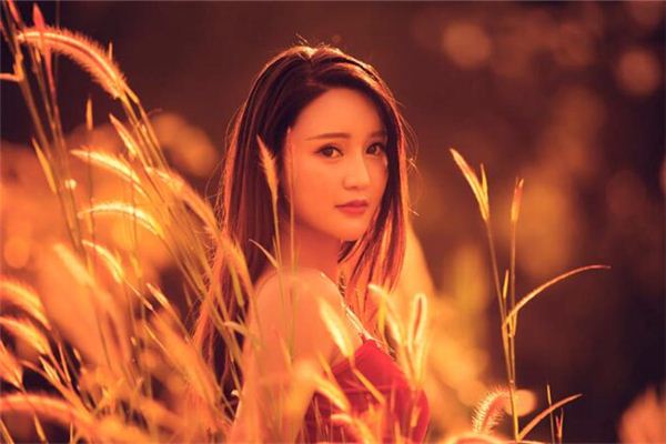 属鸡2020年运势及运程每月运程