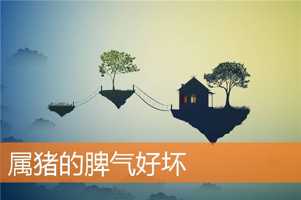 属猪的脾气好坏