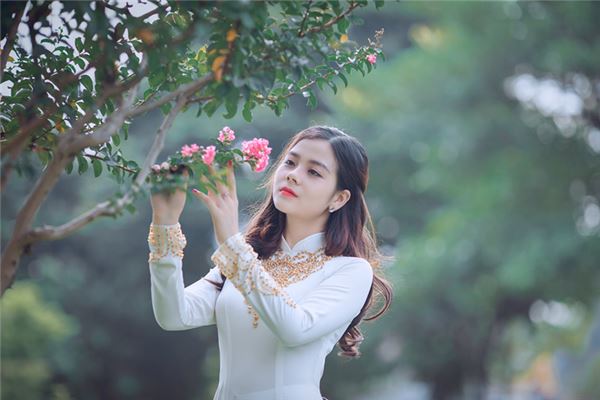 蛇三合的有啥生肖