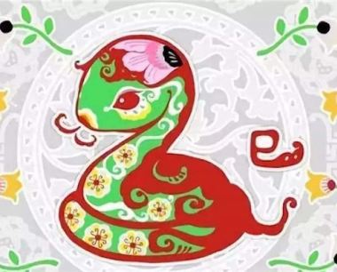 属蛇的命运如何？