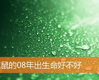 属鼠的08年出生命好不好