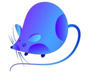 鼠年出生的人是什么命