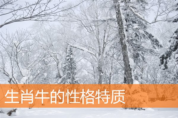 生肖牛的性格特质