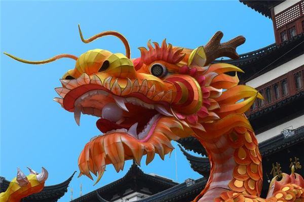 土龙命人生运程如何