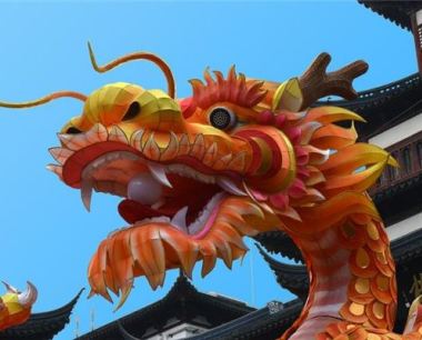土龙命人生运程如何