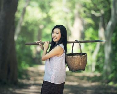 91年生肖羊运程如何