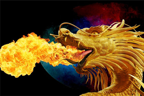为什么属龙人很优秀
