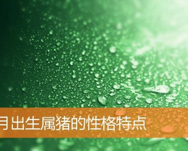 6月出生属猪的性格特点
