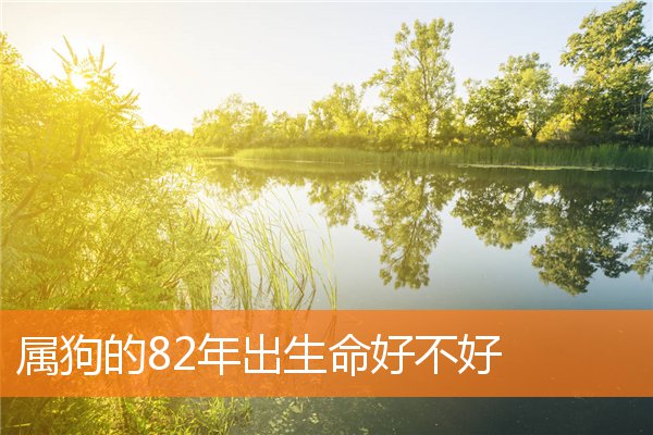 属狗的82年出生命好不好