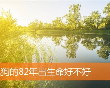 属狗的82年出生命好不好