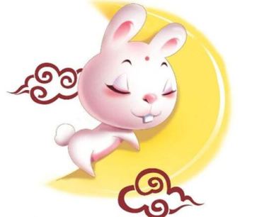 生肖兔的性格缺点有哪些