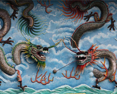 属龙人最佳事业搭档