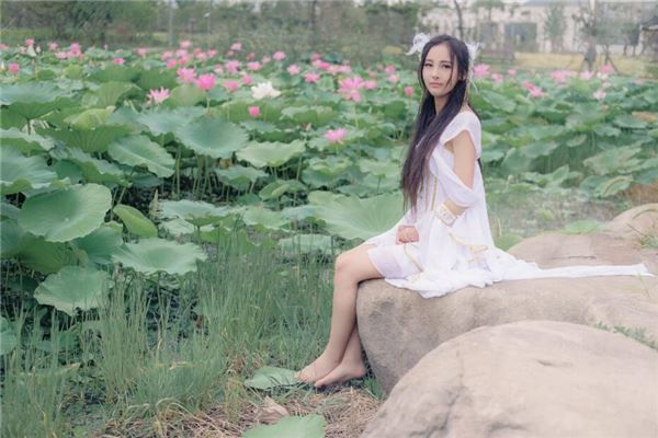 1982年人婚姻状况查看