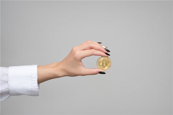 属牛的2020年投资如何