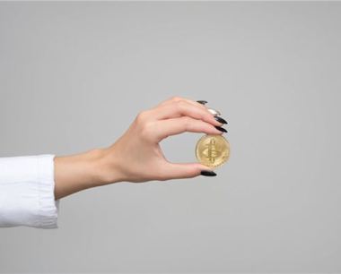属牛的2020年投资如何
