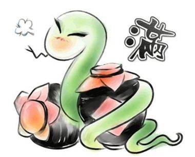 送什么礼物给属蛇女人最为合适