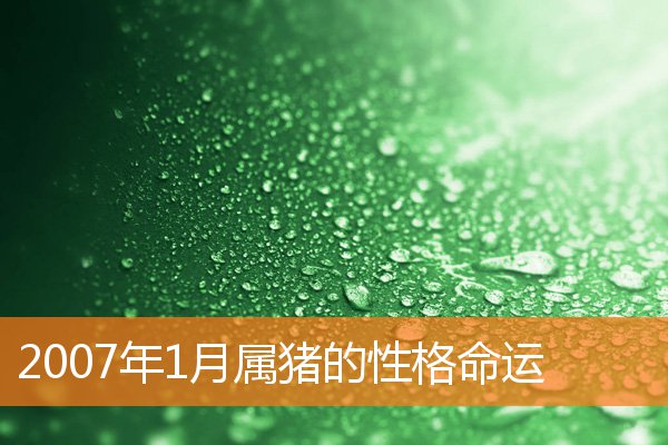 2007年1月属猪的性格命运
