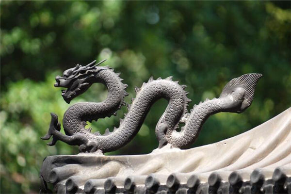 属龙的是八几年出生的