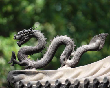属龙的是八几年出生的