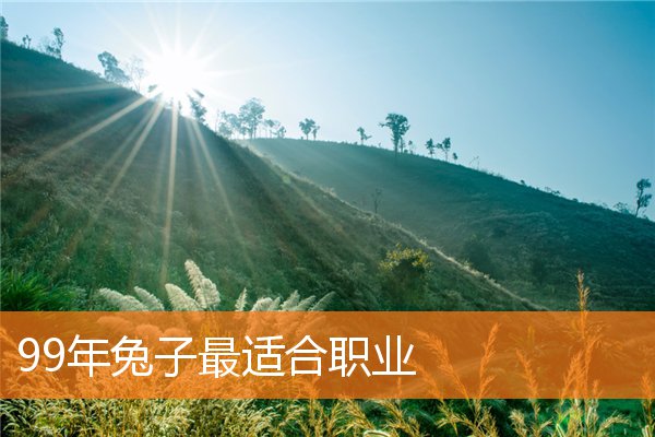 99年兔子最适合职业