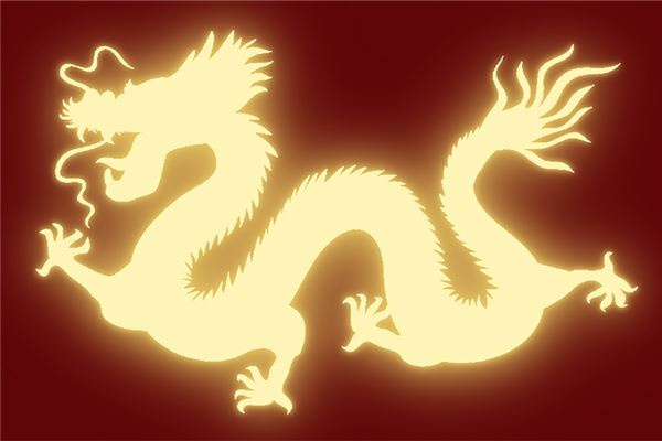 属龙养什么植物旺财转运