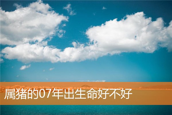 属猪的07年出生命好不好