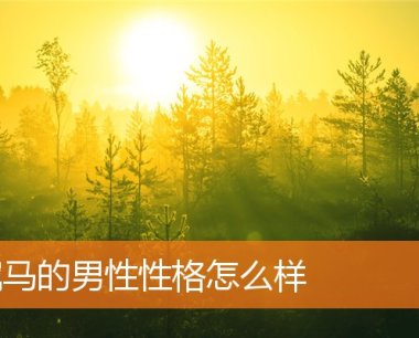 属马的男性性格怎么样