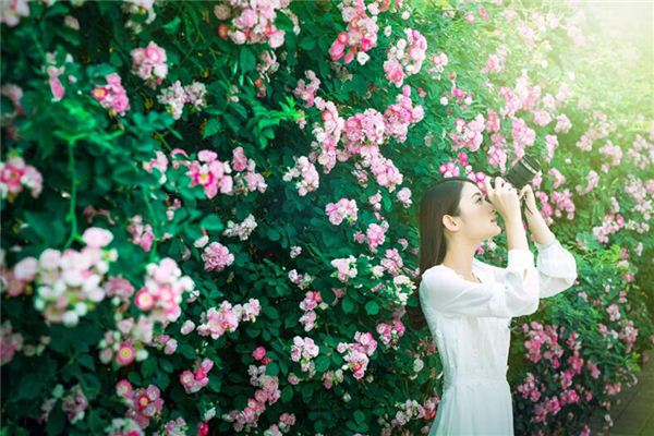 85女牛2020运势