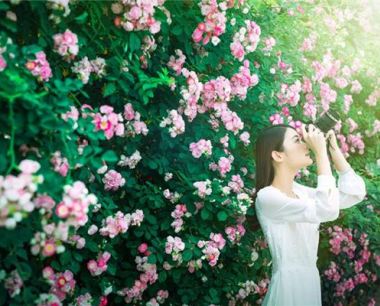 85女牛2020运势