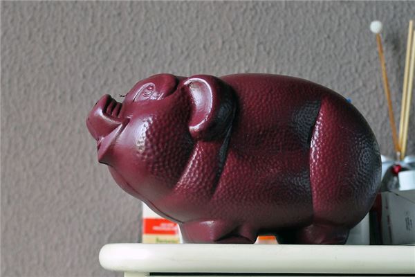 属猪的今年多大