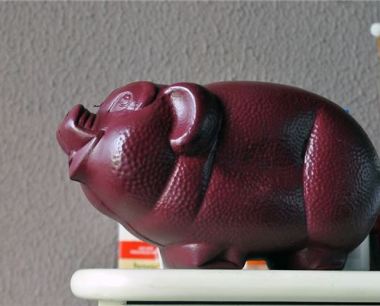 属猪的今年多大