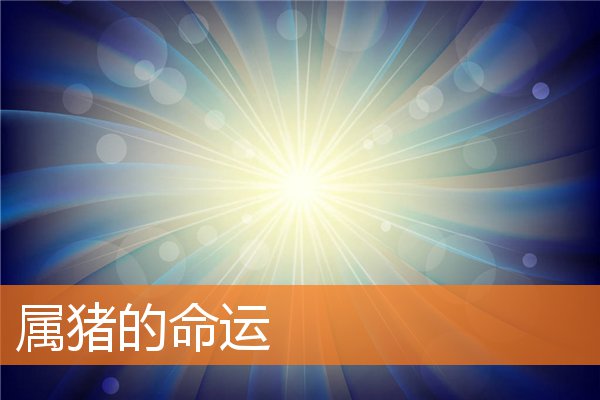属猪的命运