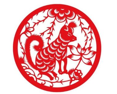 生肖解密：属狗的今年多大？