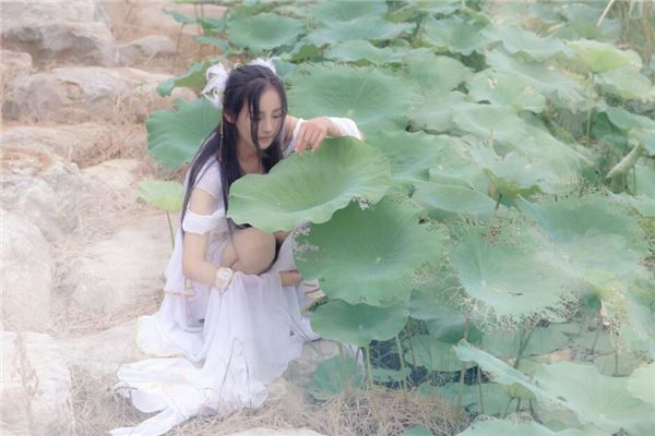 属虎一生远离这个人