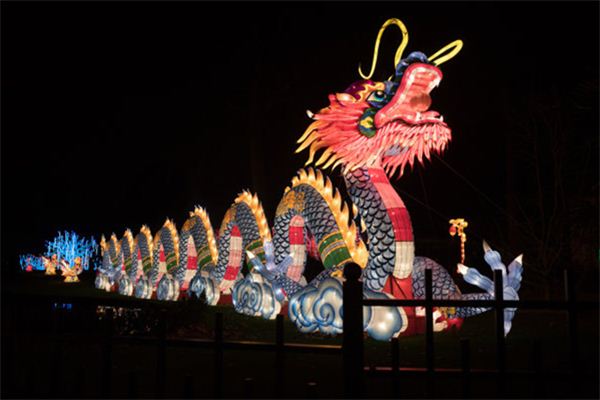 生肖龙五行年份
