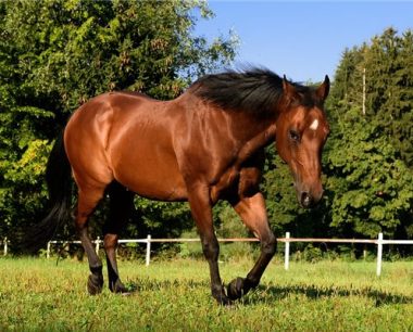 1978属马2022最危险的一个月