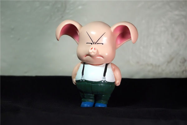 2007年6月属猪姻缘如何