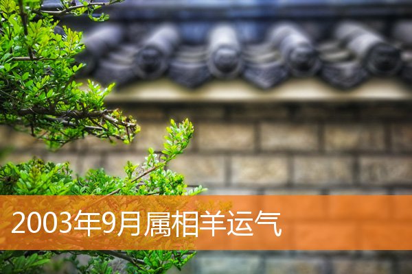 2003年9月属相羊运气