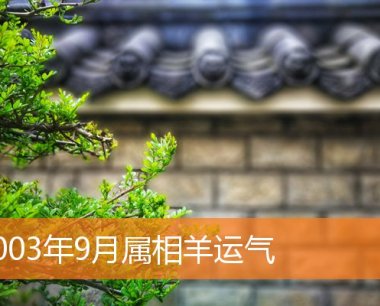 2003年9月属相羊运气