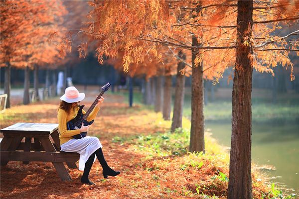 84年属鼠的生肖婚配表