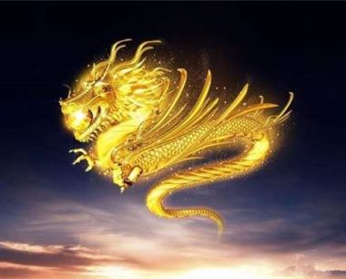 1976年属什么