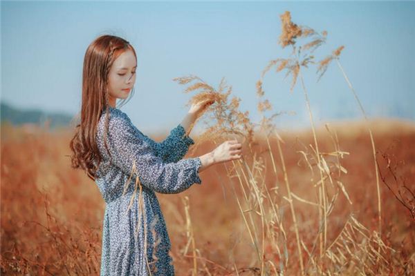 90女马2020运势